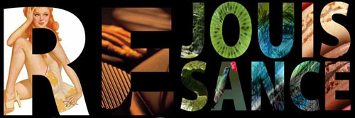 theme2009rect