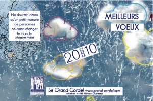 Voeux 2010