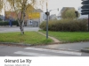 geliny_photo8